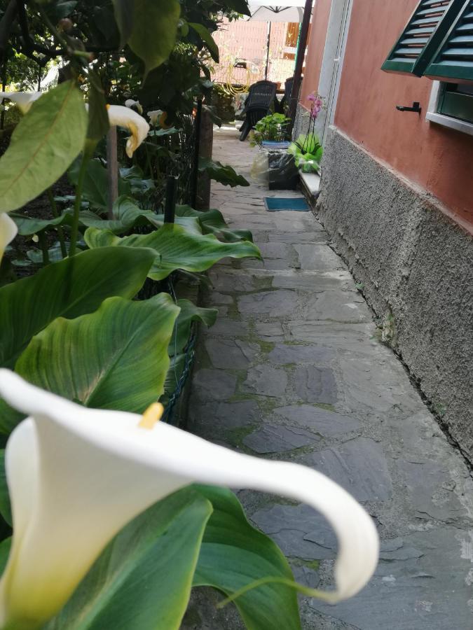 A Ca Du Barba Monterosso al Mare Exterior foto