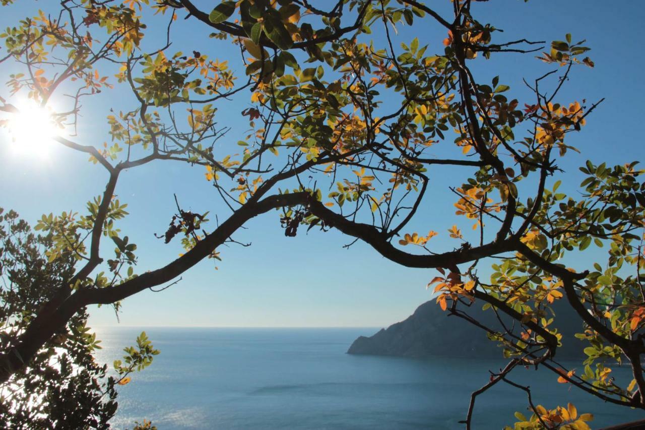 A Ca Du Barba Monterosso al Mare Exterior foto